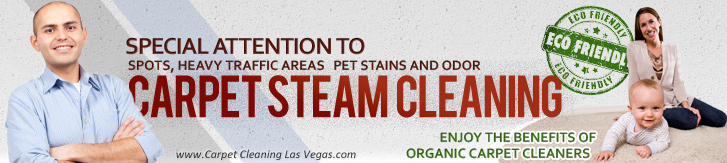carpet and upholstery steam cleaning